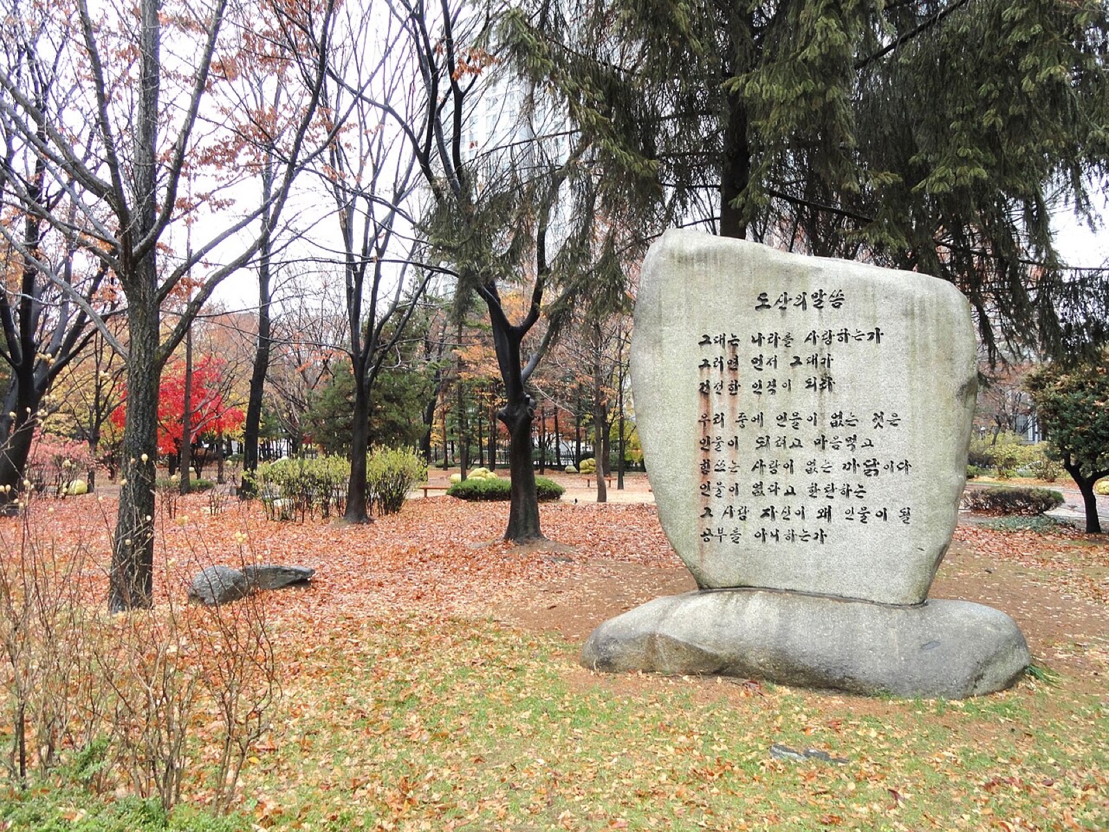 도산공원 가을 숲