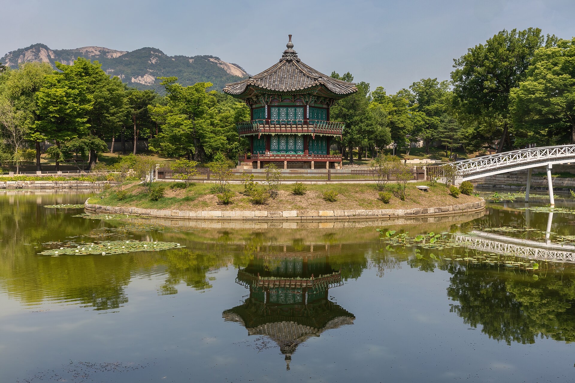 향원정 물그림자 클로즈업